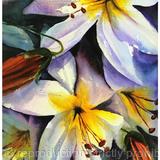 SUMMER LILIES