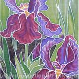 IRIS ON SILK
