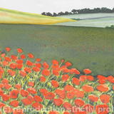 POPPY FIELD
