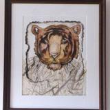 TIGER-COLLOGRAPH