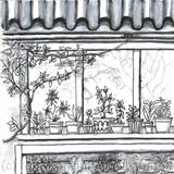 STUDIO WINDOW LOOKING IN.