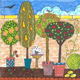 FRUIT TREES IN MY GARDEN