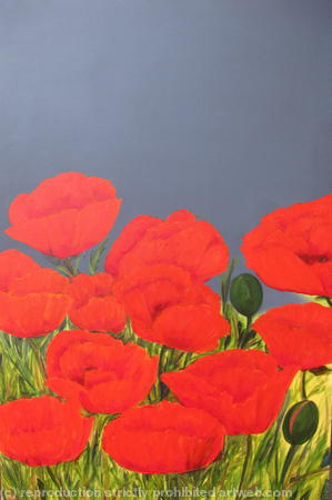 Poppies3