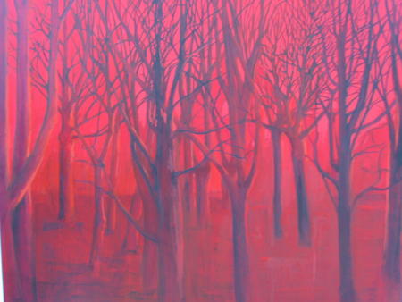 The Forest at Sundown