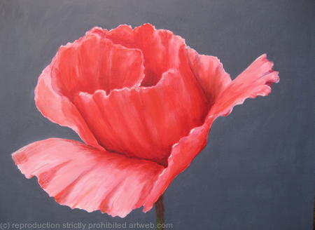 pink-poppy1