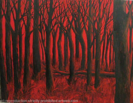 Fallen Tree at Sundown