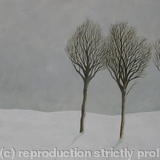 Winter Trees