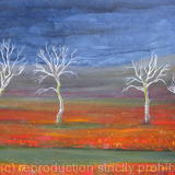 six-trees-sutherland