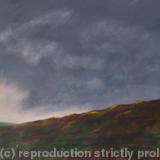 Deer at Kinbrace, Evening