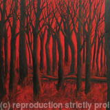 Fallen Tree at Sundown