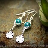 Sterling silver and turquoise earrings with Sand dollar