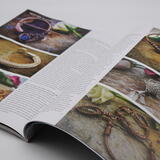 Meet the Master interview in Wire magazine