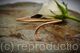Minimalist Snake Armlet Bracelet – Handmade Copper Bangle, Adjustable Serpent Inspired Jewellery