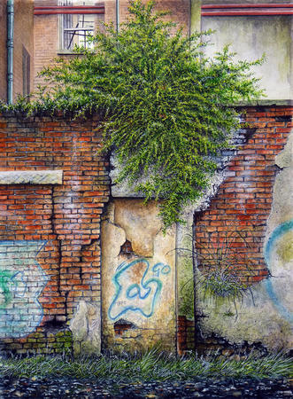 Bush in the car park.