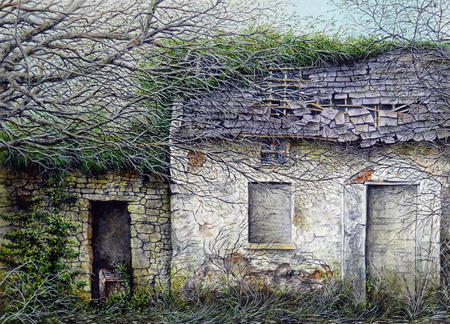 Where the trees live in Gweedore