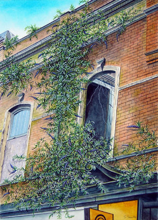 Buddlea Breaks Through