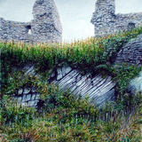 Landscape at Dundrum Castle