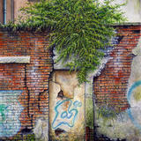 Bush in the car park.