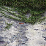 Four Bricks in a Wall