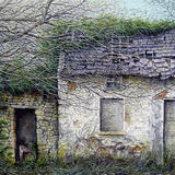 Where the trees live in Gweedore