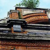 The Bush on The Big House