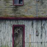 Lost in the long grass