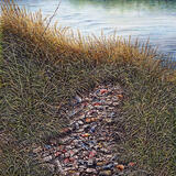 Laganbanks in Lockdown 