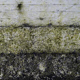 Just Another Wall in Ireland 