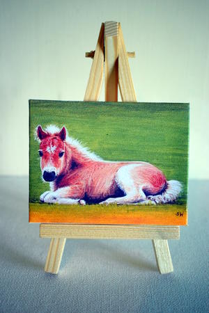 Foal Mini Print