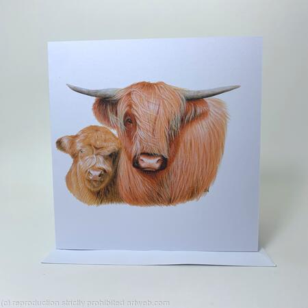 Highland Cows