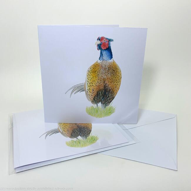 Pheasant