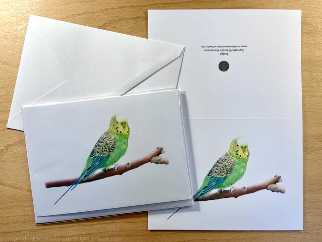 Budgie