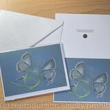 Hairstreak Butterflies