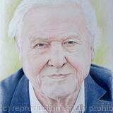 David Attenborough