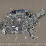 Glass Tortoise
