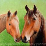 Chestnut Horses