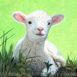 Spring Lamb 