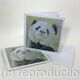 Panda Bear
