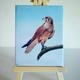 Brown Falcon Mini Print