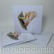 Red Squirrel Greeting Card