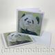 Panda Bear