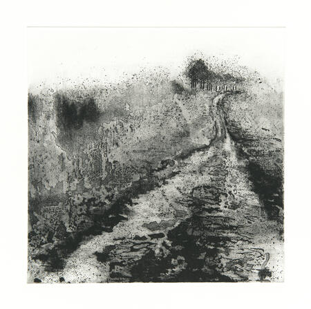 White path to Chanctonbury Ring