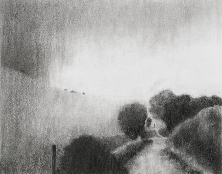 Trees crowding the track