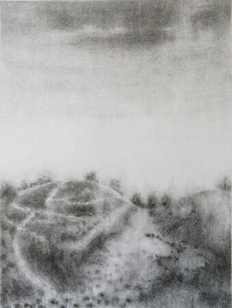 Crowding the solitude