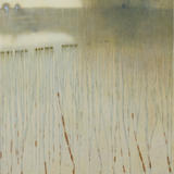 Rain Soaked Downland