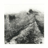 White path to Chanctonbury Ring