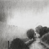 Trees crowding the track