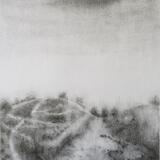 Crowding the solitude