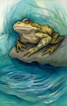 Deeps Reflect The Sky (Ace Of Waters) 