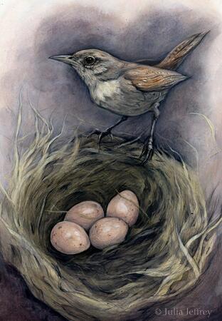 Wren's Nest  (Four Of Skies) 